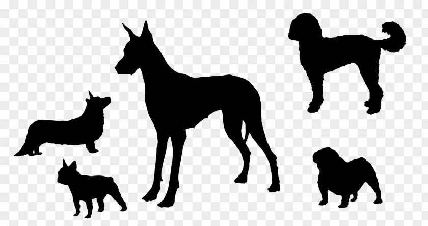 Dog Breed Silhouette Race PNG