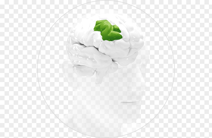 Tableware Cream PNG