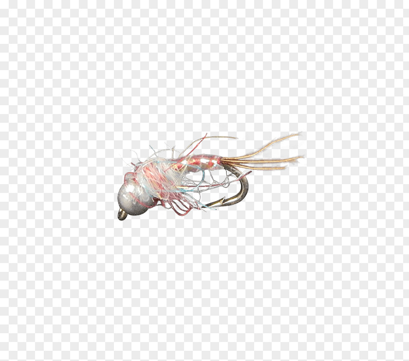 Trout Streamers Nymphs Holly Flies Fly Midge Head Product Discounts And Allowances PNG