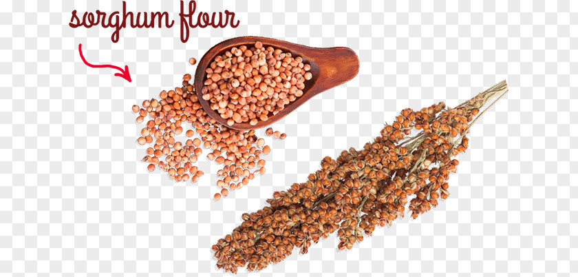 Whole-wheat Flour Sorghum Gluten-free Diet Cereal PNG