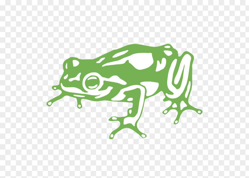 Frog Kermit The Design Inc. Logo PNG