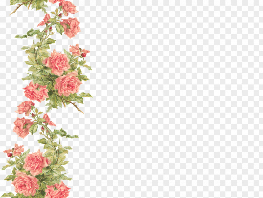 Fuchsia Frame Desktop Wallpaper Flower Clip Art PNG