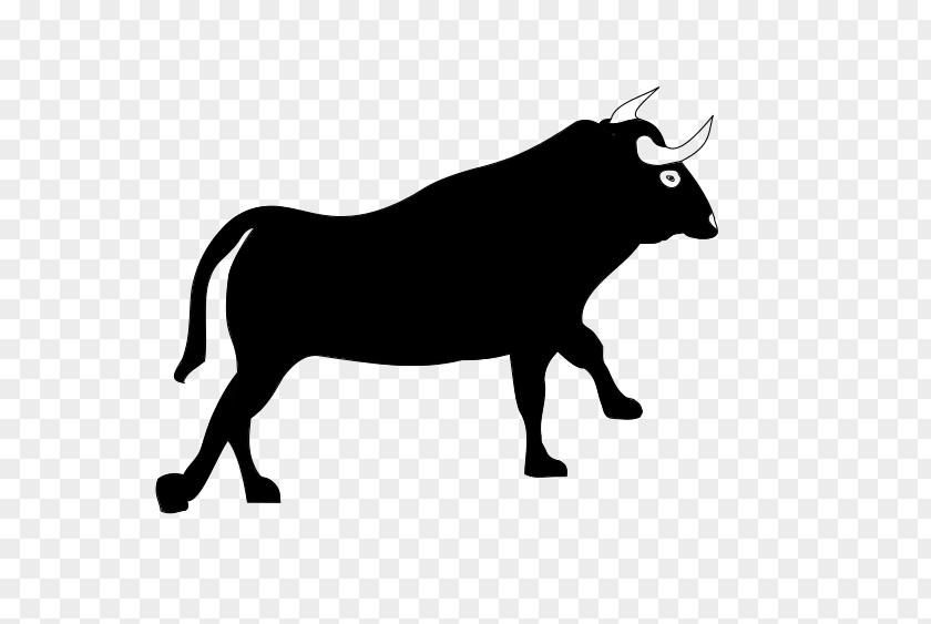 Horn Snout Bull Bovine Cow-goat Family PNG