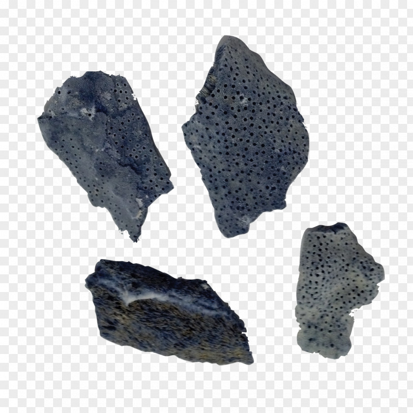 Liver Fluke Igneous Rock Mineral PNG