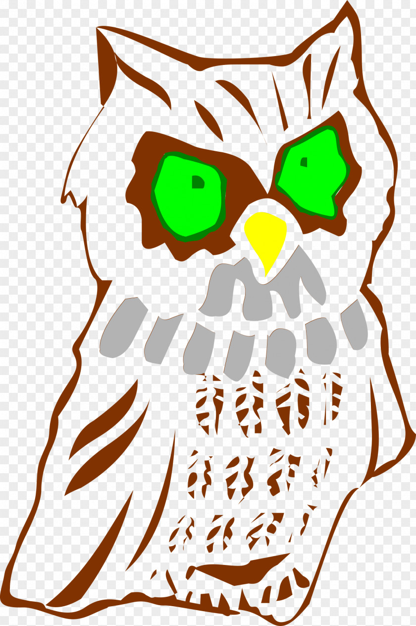 Owls Owl Drawing Clip Art PNG