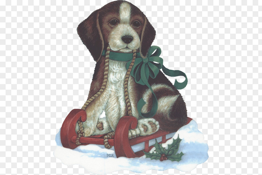 Puppy Beagle Dog Breed Christmas Companion PNG