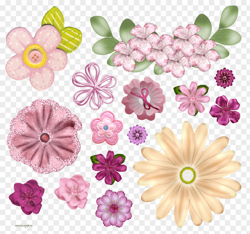 Waterflower Flower Floral Design PNG