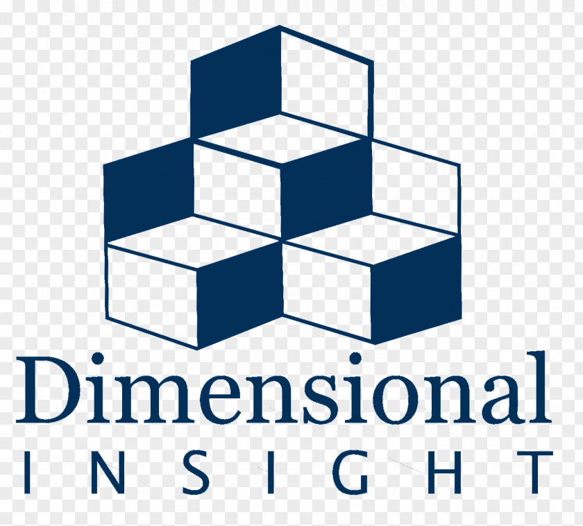 Business Dimensional Insight Intelligence Hair Studio Information Management PNG