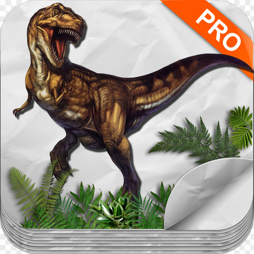 Dinosaur Tyrannosaurus Giganotosaurus Ceratosaurus Compsognathus Carnivores: Hunter PNG