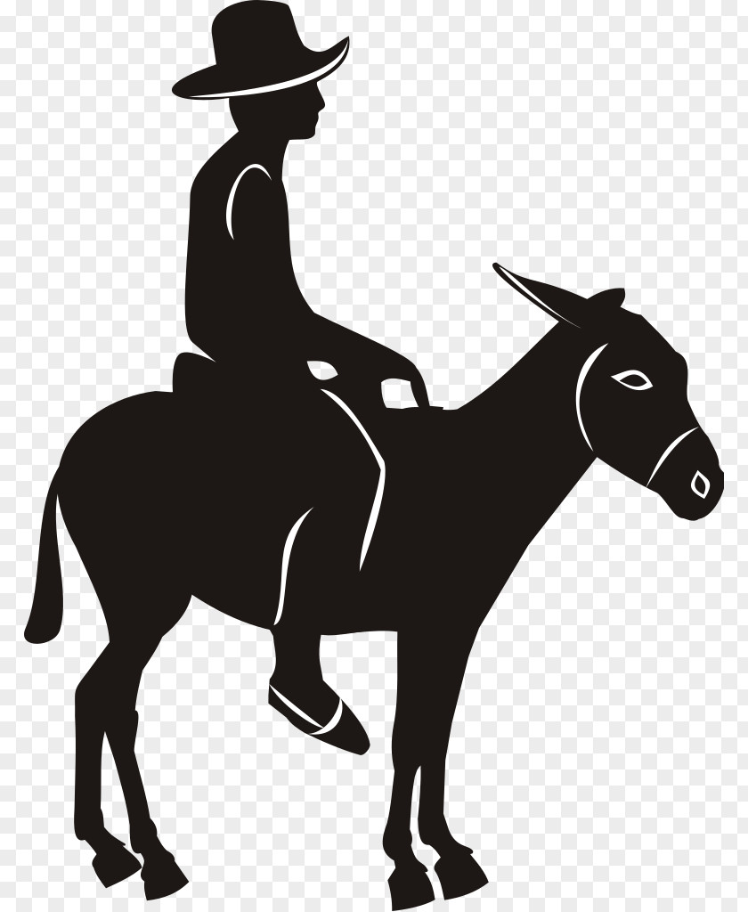 Donkey Vector Mule Drawing Clip Art PNG
