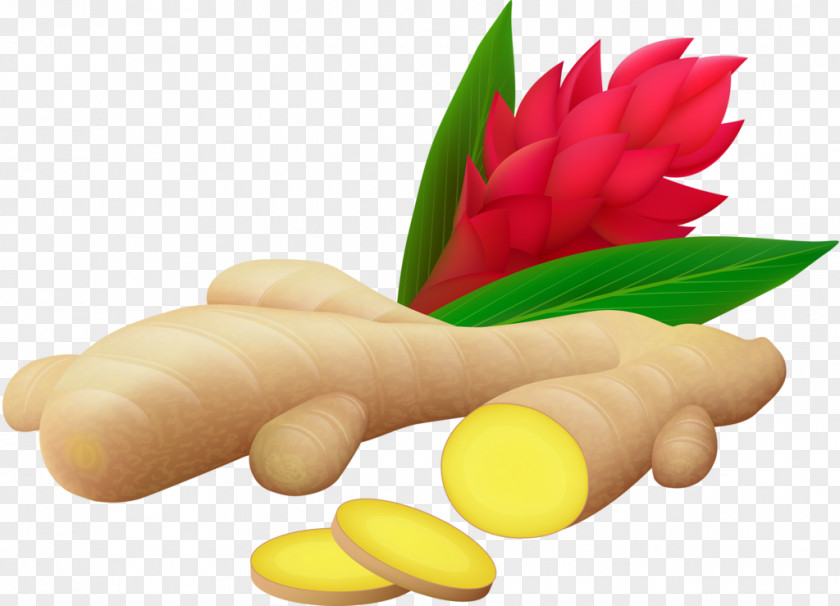 Fruits Et Lxe9gumes Root Vegetables Ginger Food PNG