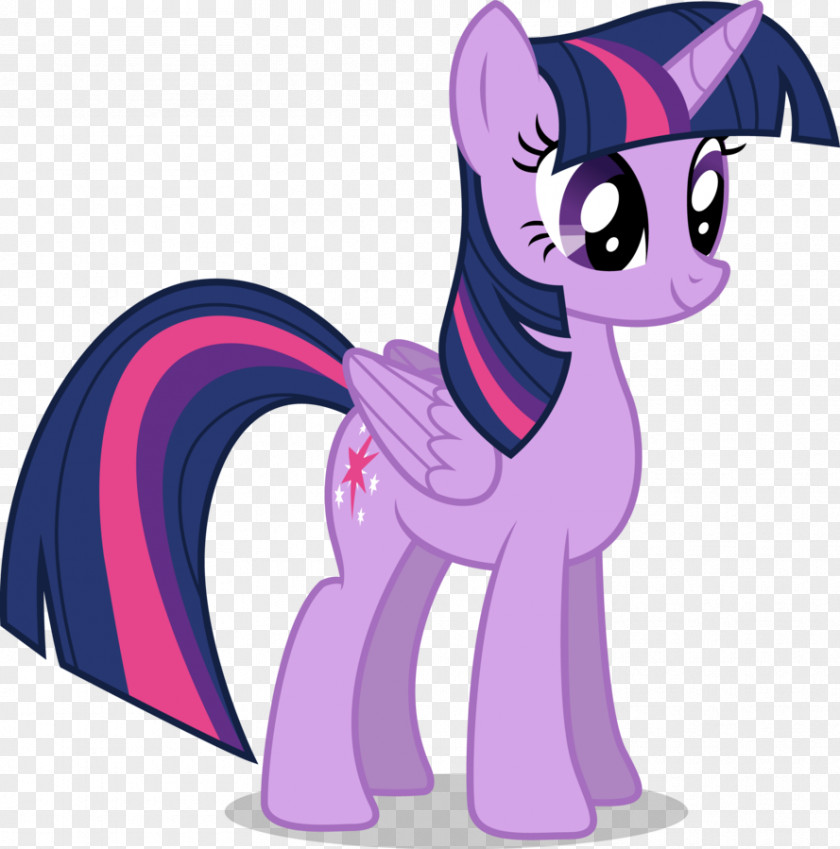 Princess Twilight Sparkle Pinkie Pie Celestia Rainbow Dash Pony PNG