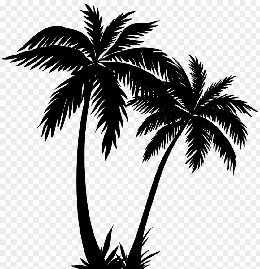 Silhouette Arecaceae Drawing PNG