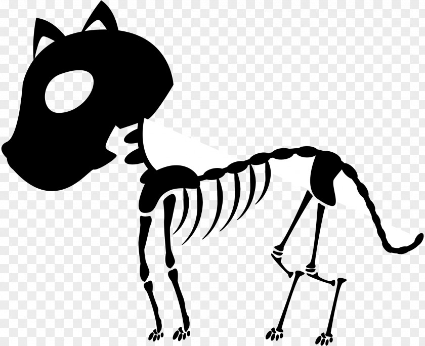 Skeleton Cat Clip Art PNG