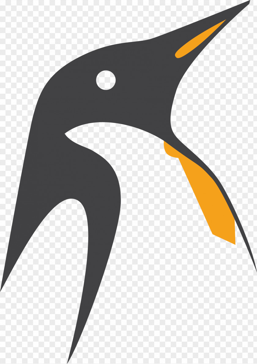 Transparent New Penguins Bird Clip Art PNG