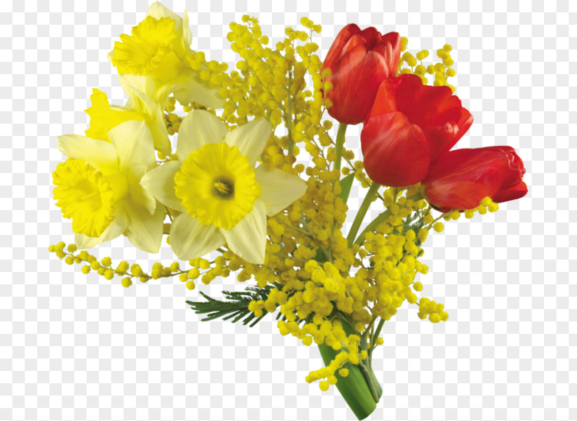 Woman International Women's Day Mimosa Get Fuck / Walk It Out Flower Bouquet Desktop Wallpaper PNG