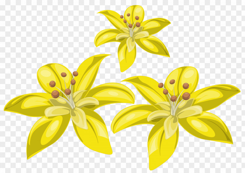 Yellow Flowers Pink Lilium Clip Art PNG
