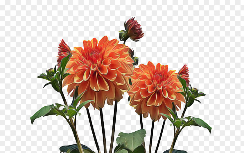 Artificial Flower Petal Flowers Background PNG