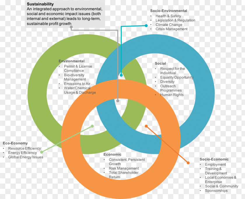 Business Sustainability Sustainable Organization Management PNG