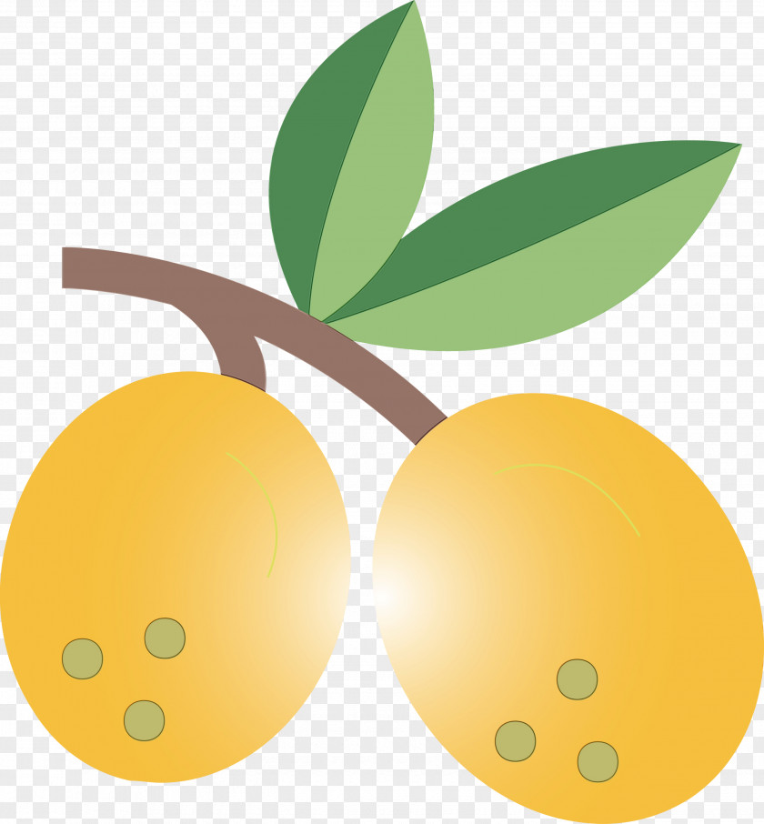 Fruit Tree PNG