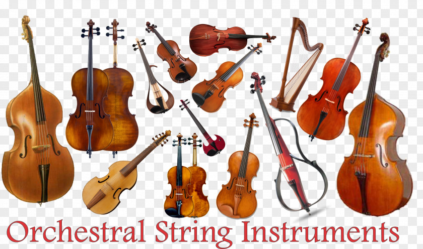 Musical Instruments String Violin Family Cello PNG family Cello, Music instruments clipart PNG