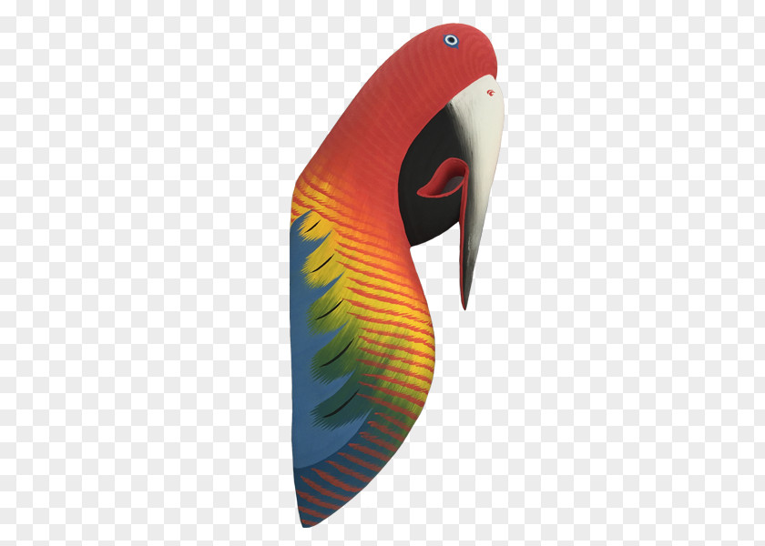 Parrot Decoration Macaw PNG