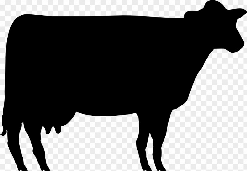Shorthorn Angus Cattle Beef Hereford Jersey PNG