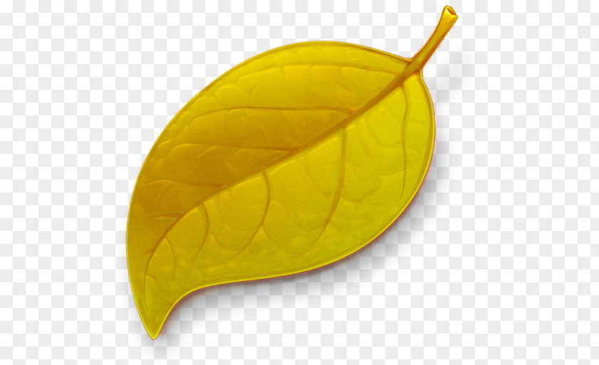 Autumn Leaves Coda MacOS Download Icon PNG