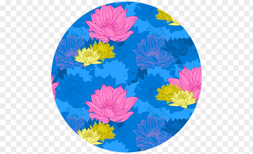 Chrysanthemum Transvaal Daisy Wildflower PNG