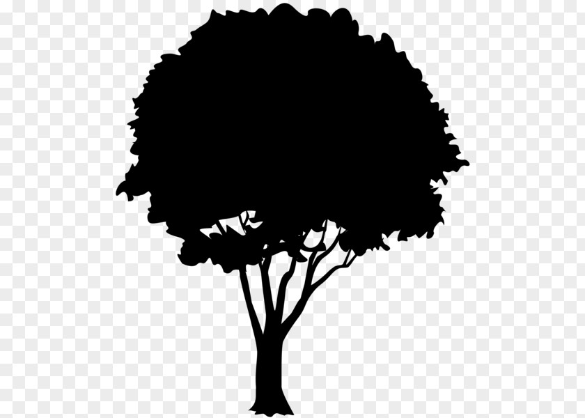 Clip Art Oak Silhouette Vector Graphics Image PNG