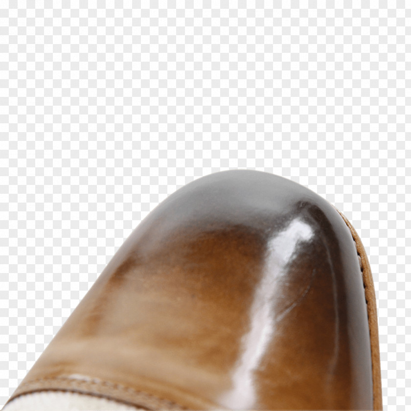 Design Shoe PNG