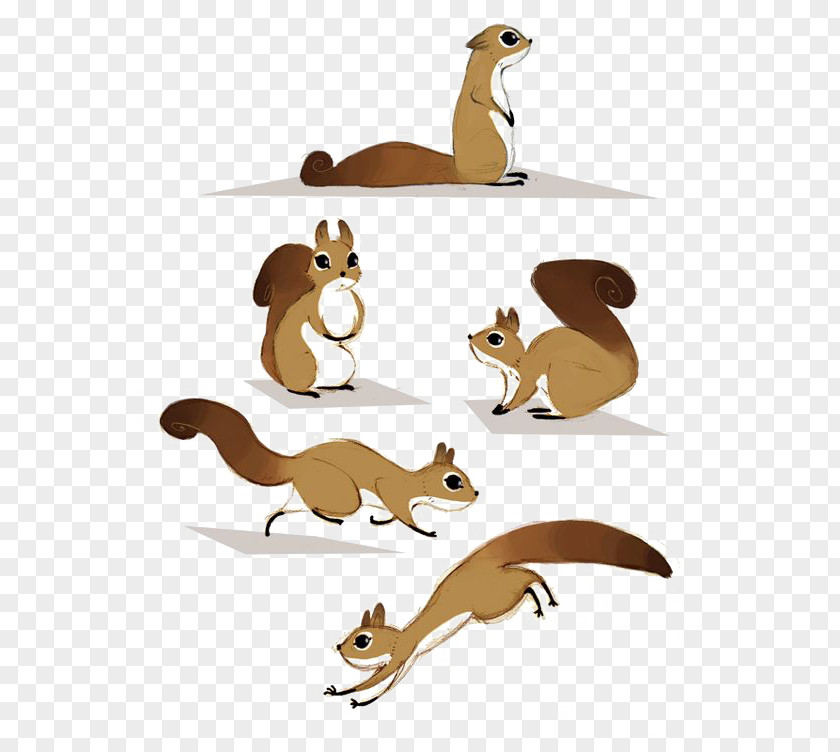 Squirrel Canidae Rodent Clip Art PNG