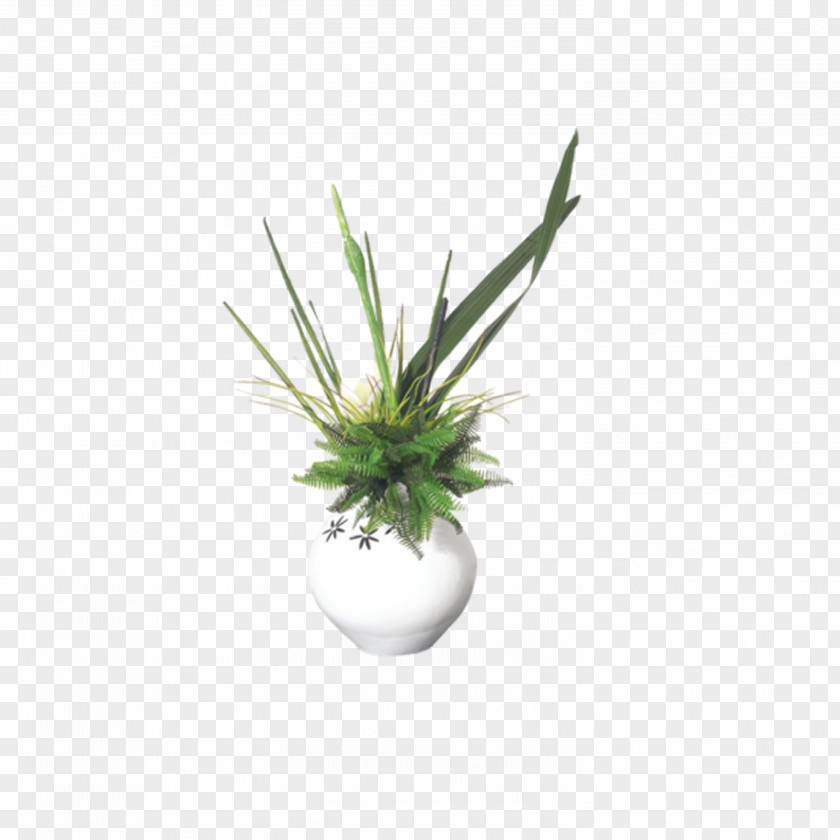 Vase Computer File PNG