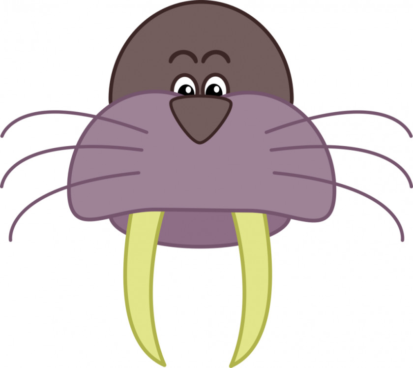 Walrus Clip Art PNG