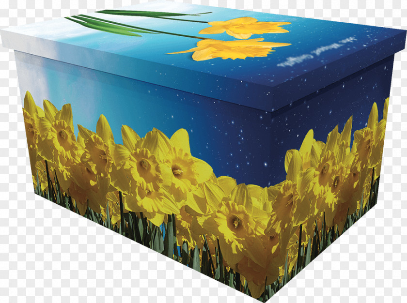 Box Coffin I Wandered Lonely As A Cloud Daffodil Flower PNG