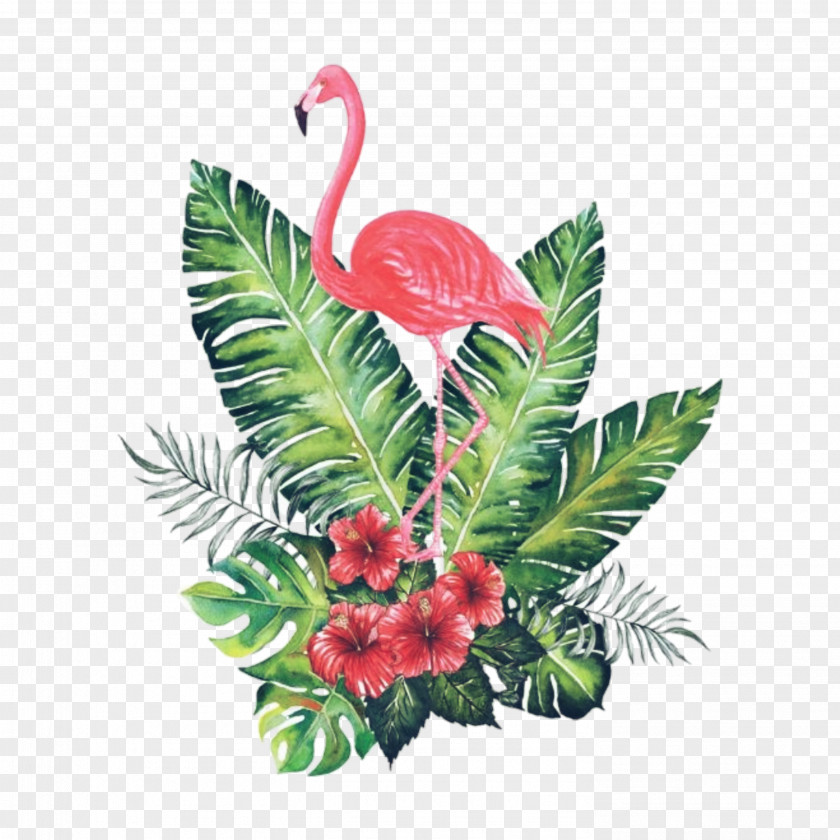 Flamingos Watercolor Painting Bird Art PNG