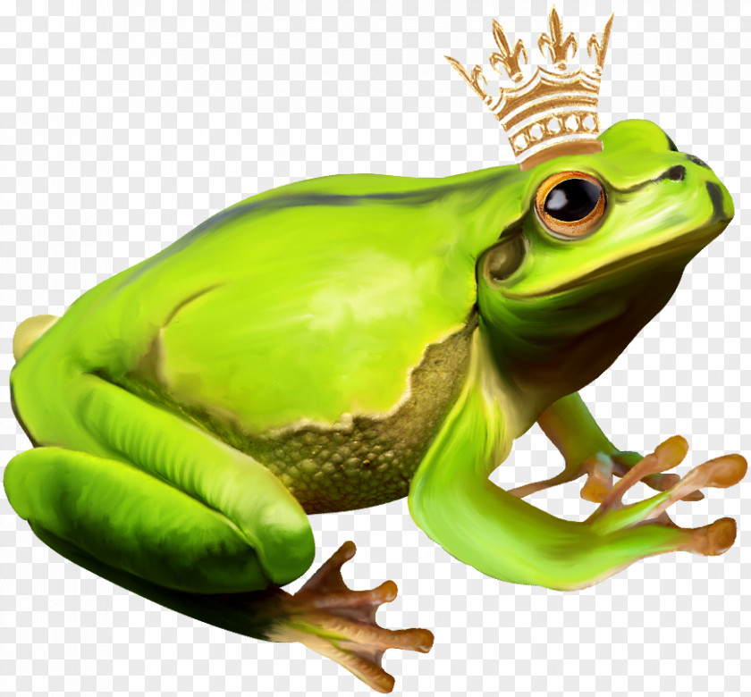 Frog Prince The PNG