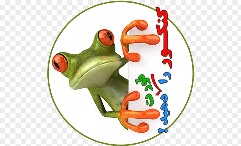 Frog The Tree Jumping Contest Stock Photography PNG