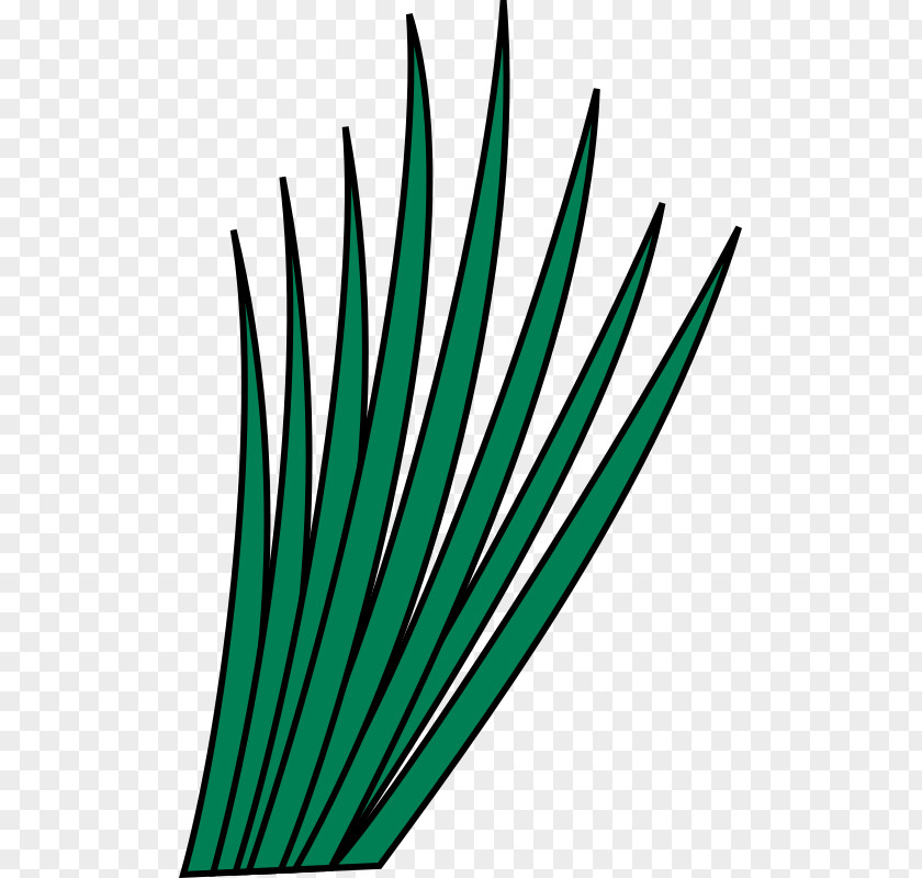 Plant Green Leaf Teal Stem PNG