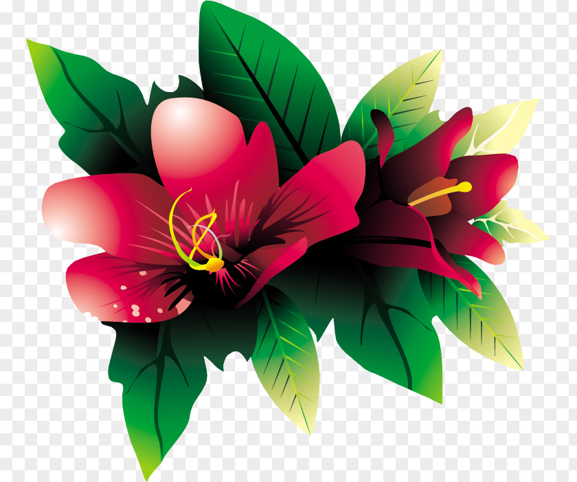 Tropical Flower Download Clip Art PNG