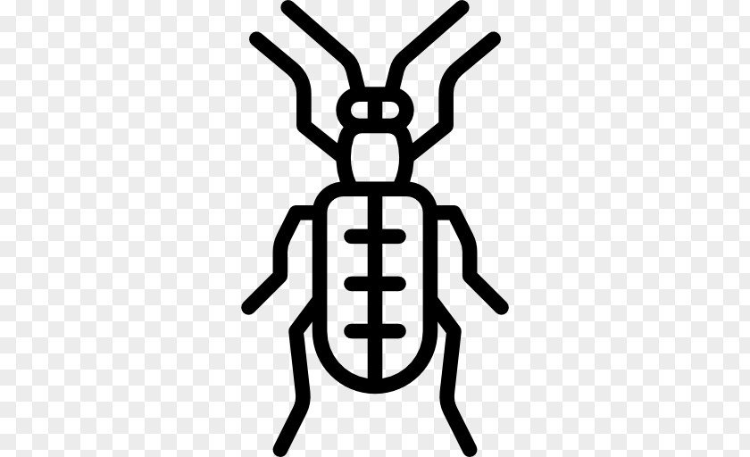 Beetle Entomology Clip Art PNG