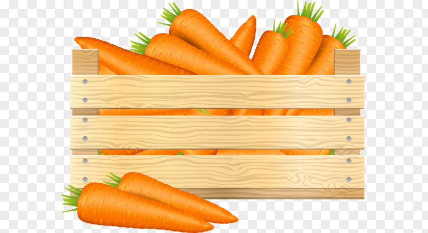 Vegetable Baby Carrot Food Clip Art PNG