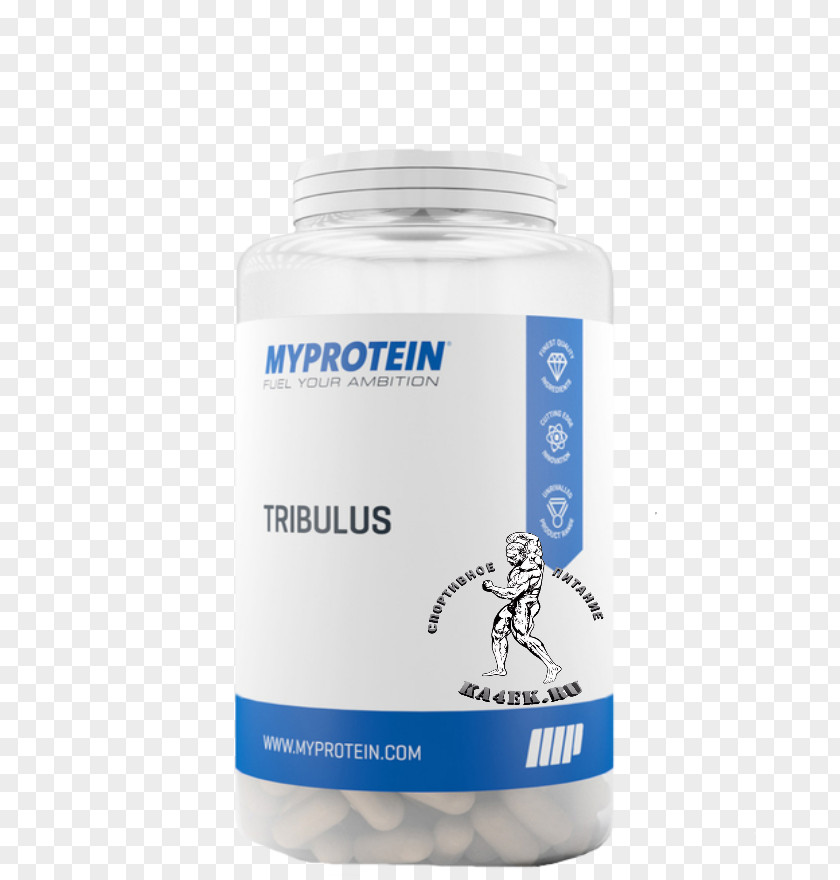 Dietary Supplement Myprotein Caffeine Bindii Branched-chain Amino Acid PNG