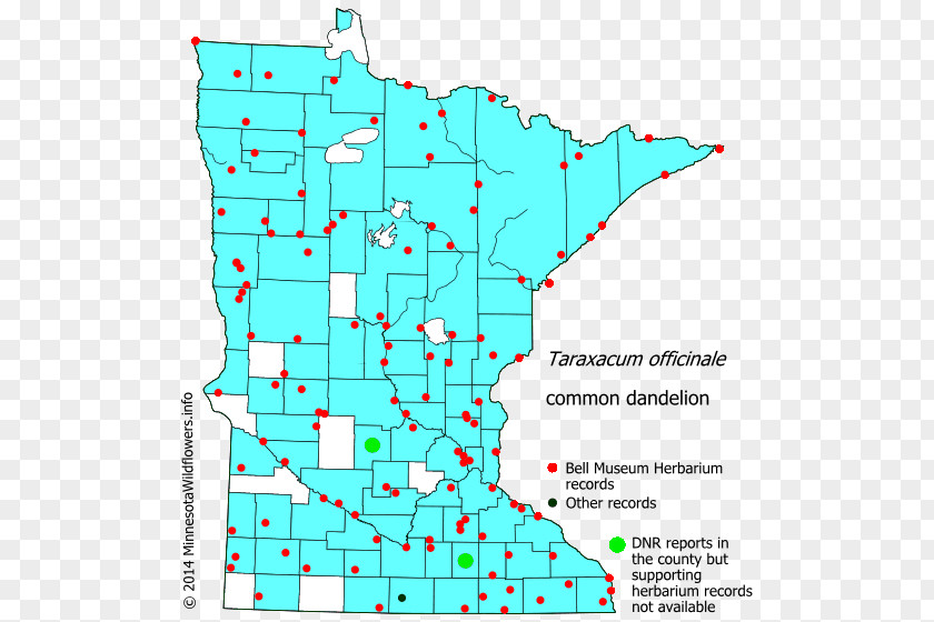 Flower Minnesota Swamp Map Aquatic Plants PNG