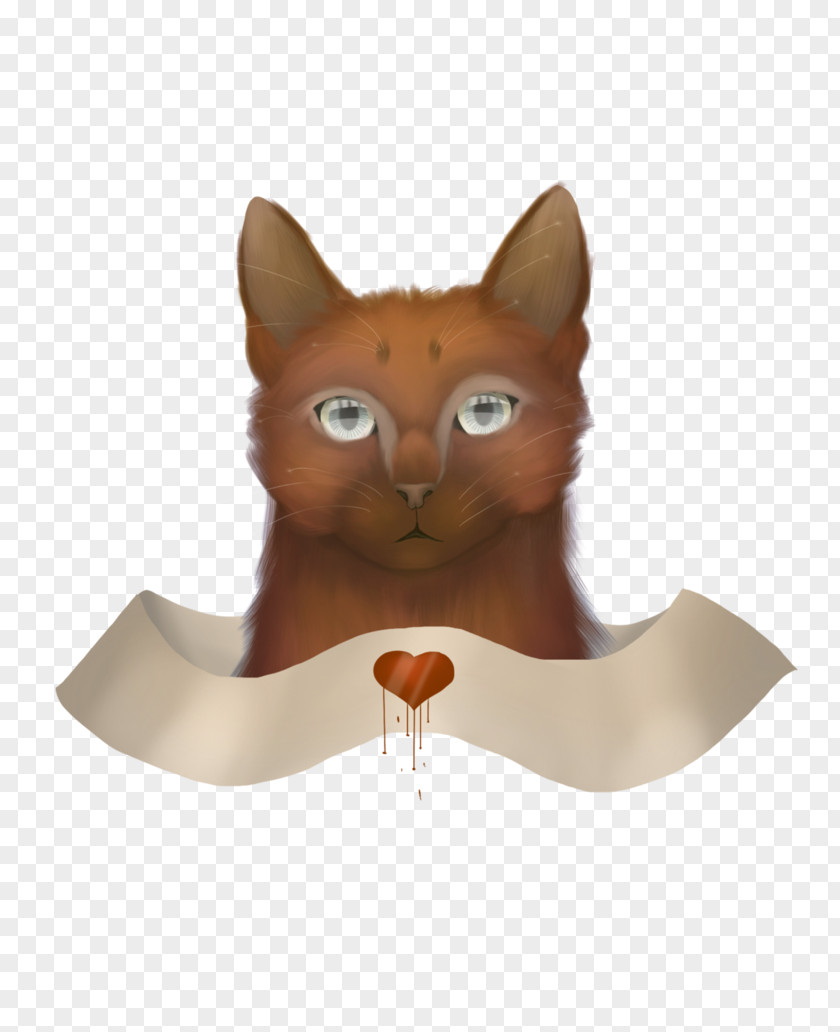 Kitten Whiskers Tail PNG