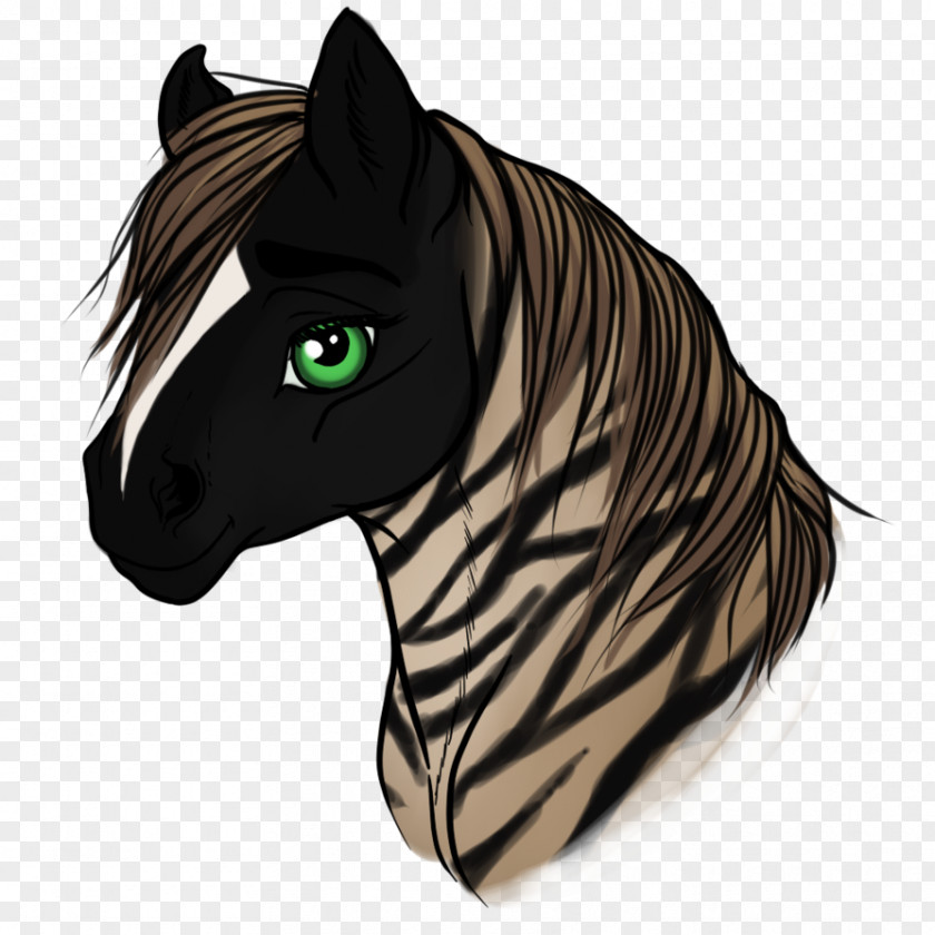 Mustang Quagga Halter Illustration Character PNG