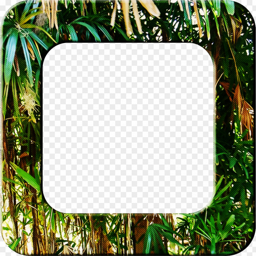Plant Grass Background Green Frame PNG