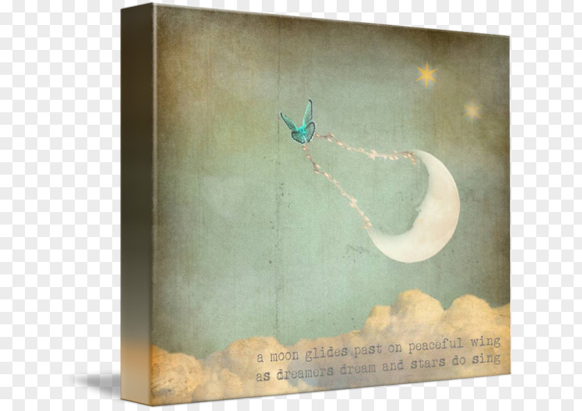 Wings Watercolor Picture Frames Teal PNG