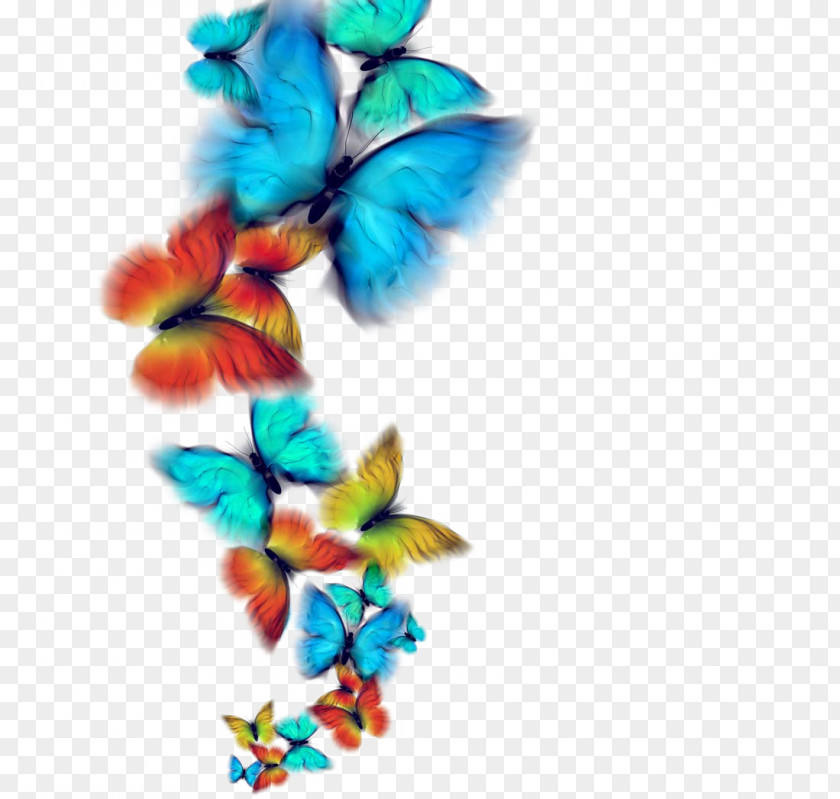Colorful Butterfly Royalty-free Photography PNG