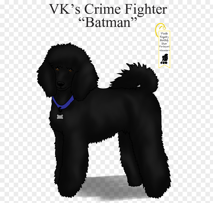 Crime Fighter Standard Poodle Barbet Miniature Portuguese Water Dog Irish Spaniel PNG